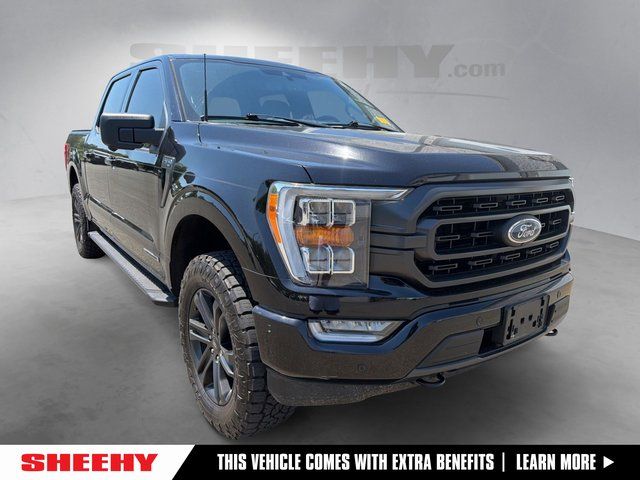 2022 Ford F-150 XLT 4x4 SuperCrew 5-1/2 Box's photo
