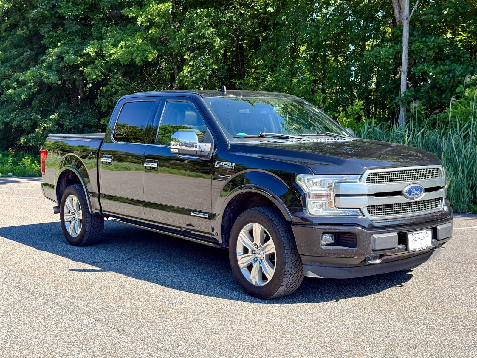 2019 Ford F-150 Platinum SuperCrew 4WD