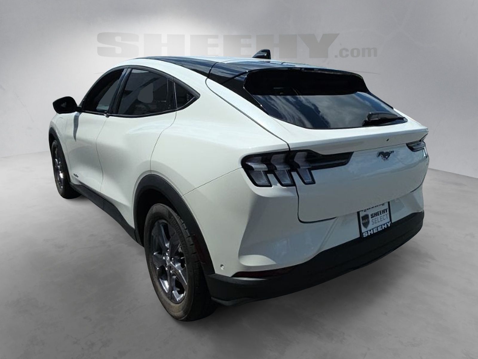 Used 2023 White Ford Select image 11
