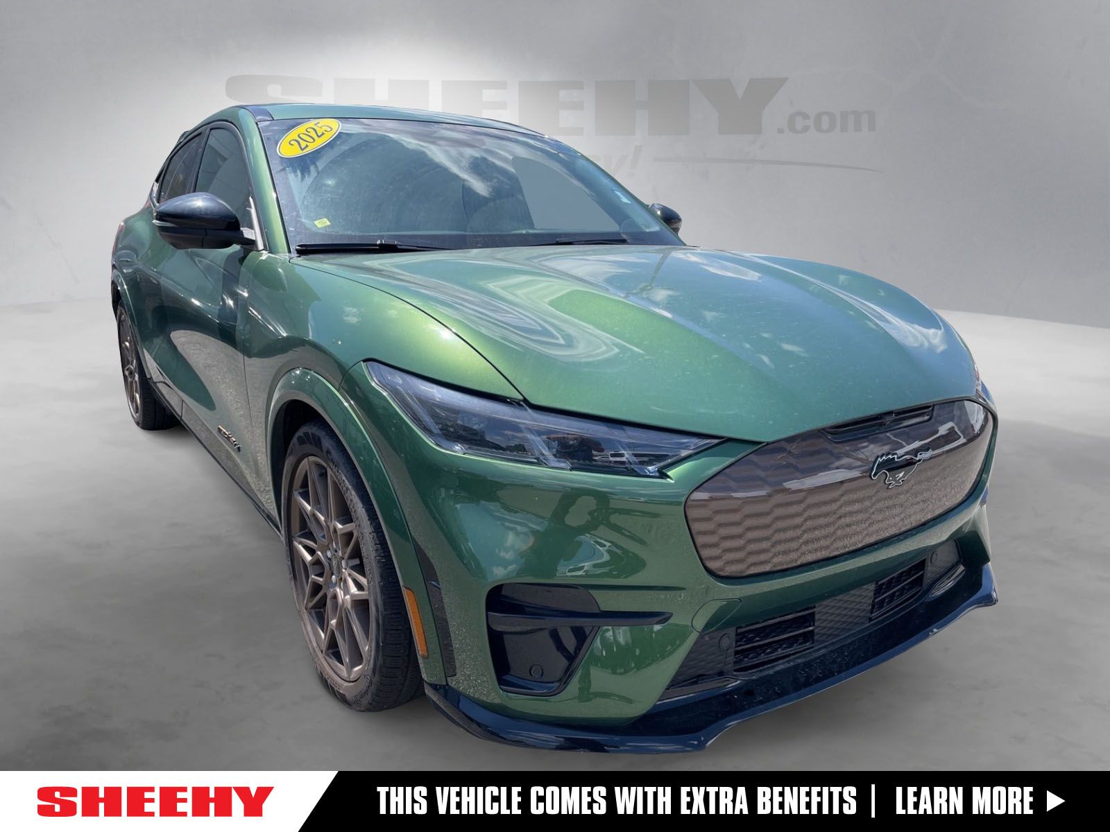 2025 Ford Mustang-Mach-e GT's photo