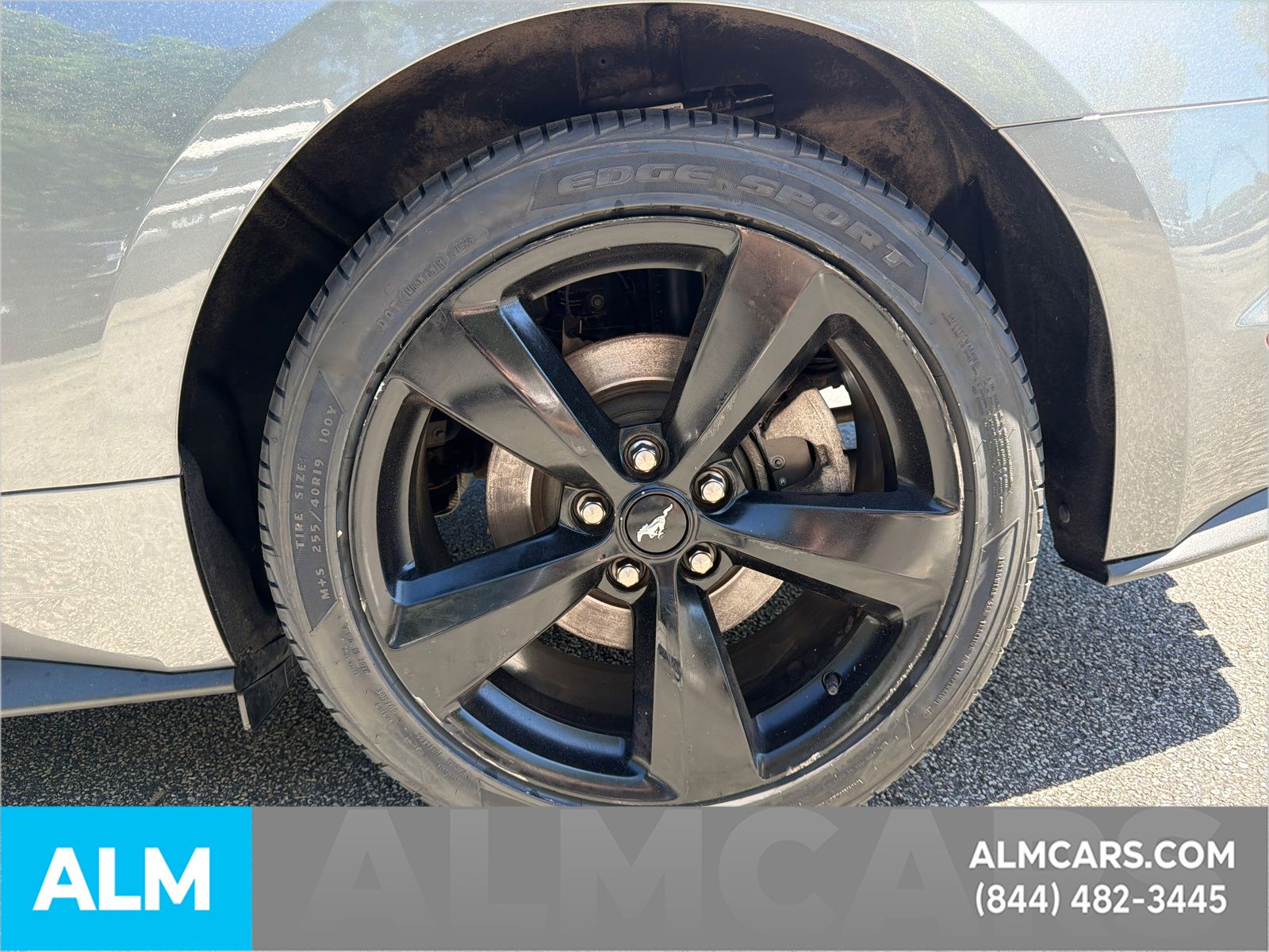 Used 2022 Gray Ford EcoBoost Premium image 21