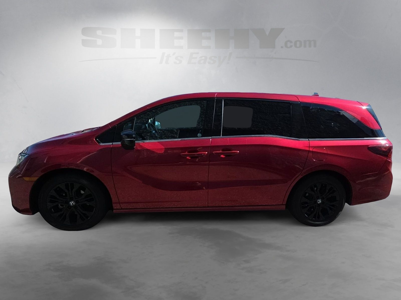 Used 2025  Honda Sport-L image 16