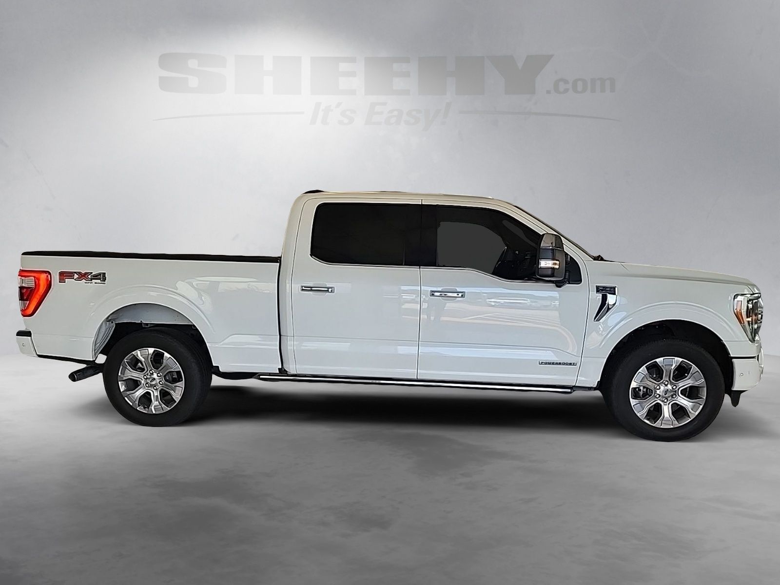 Certified Used 2022 Star White Ford Platinum image 11