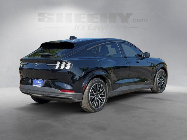 Certified Used 2025 Shadow Black Ford Premium image 14