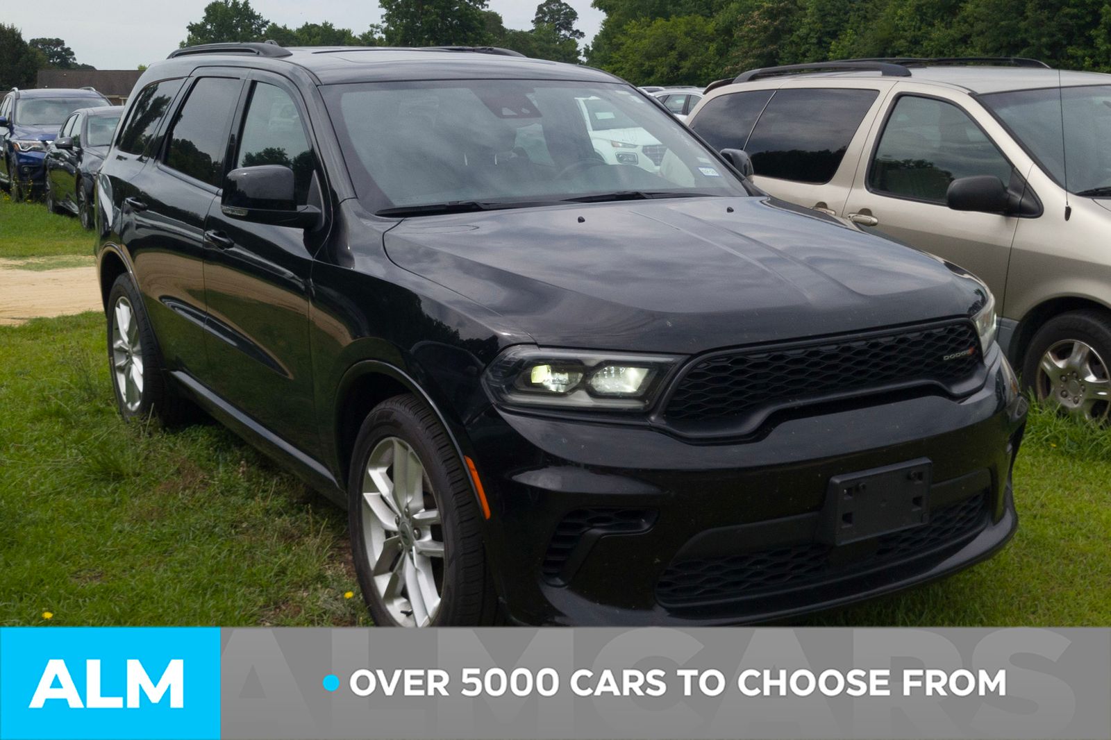 Used 2024 Black Clearcoat Dodge GT Plus image 3