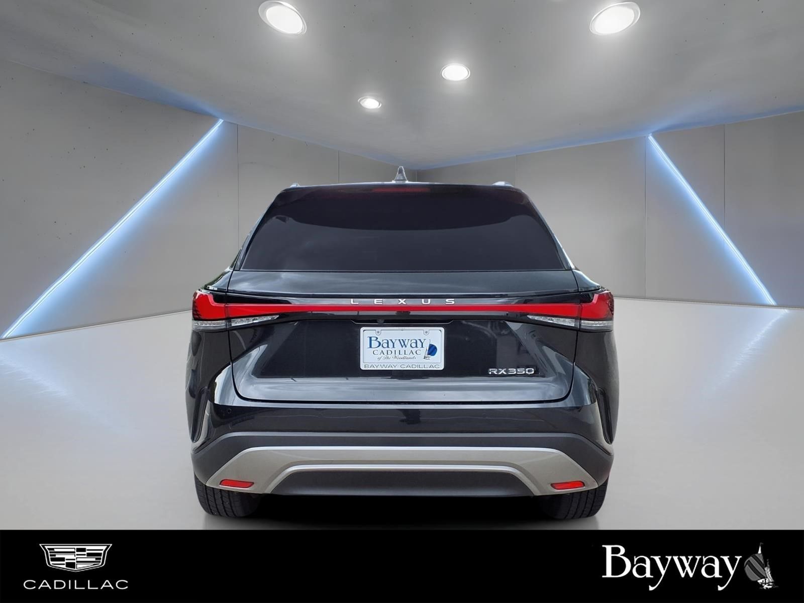 2023 Lexus RX 350 Premium Plus - 6
