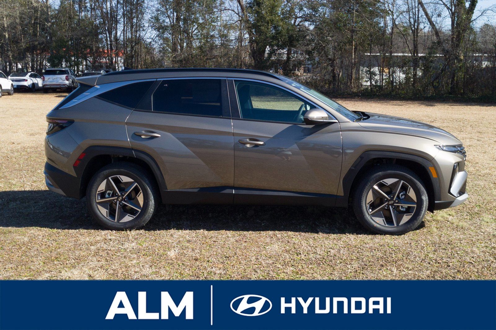 2025 Hyundai Tucson Hybrid SEL Convenience photo 3