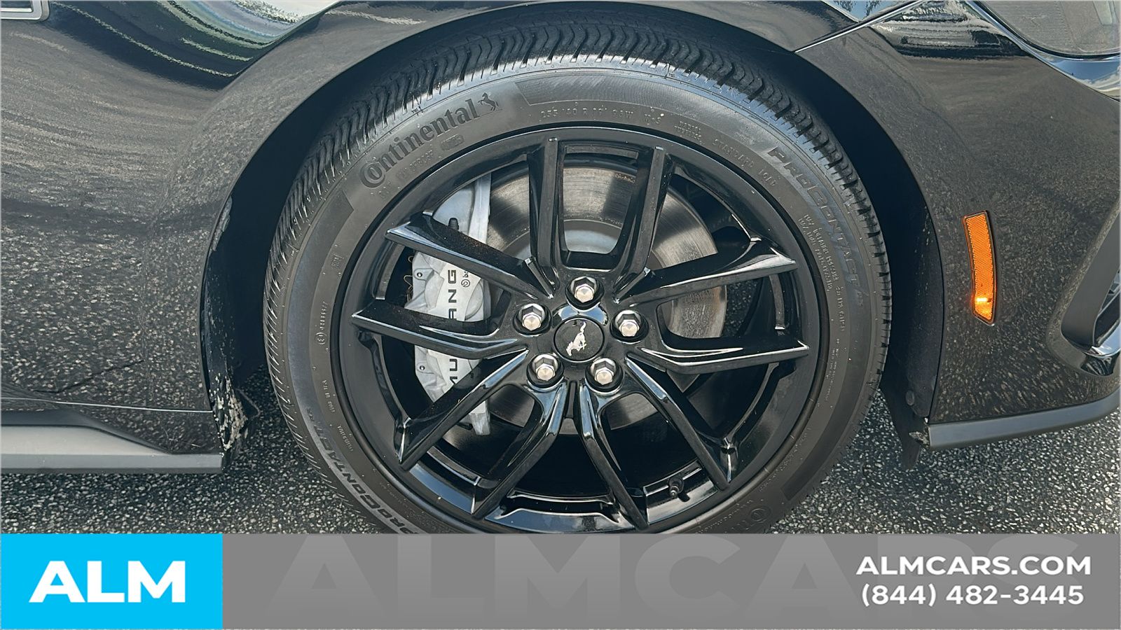 Used 2025 Black Ford GT image 14