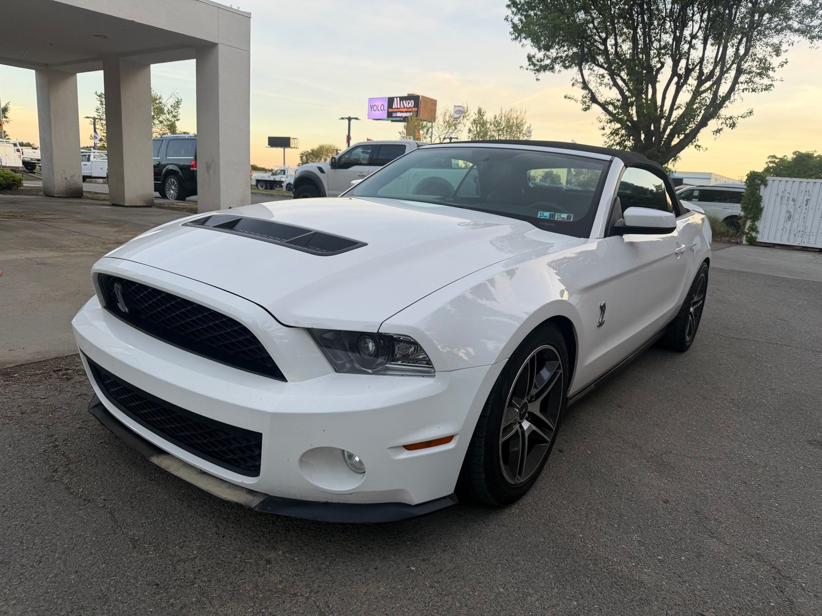 2010 Ford Mustang Shelby GT500 Convertible RWD