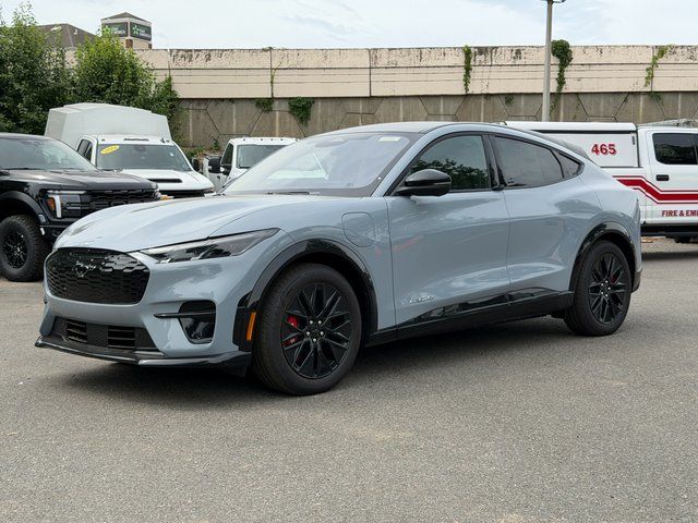 New 2025 Gray Ford Premium image 2