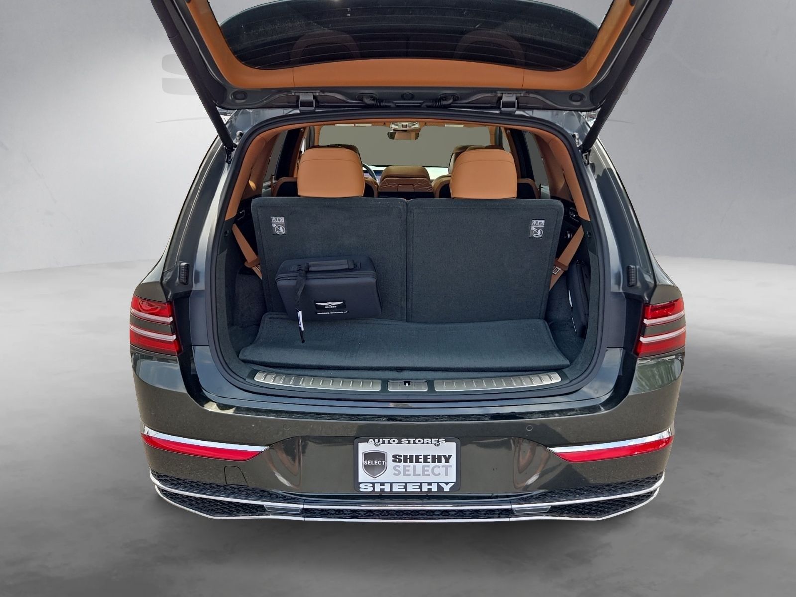 Used 2025 Green Genesis 3.5T Advanced image 29