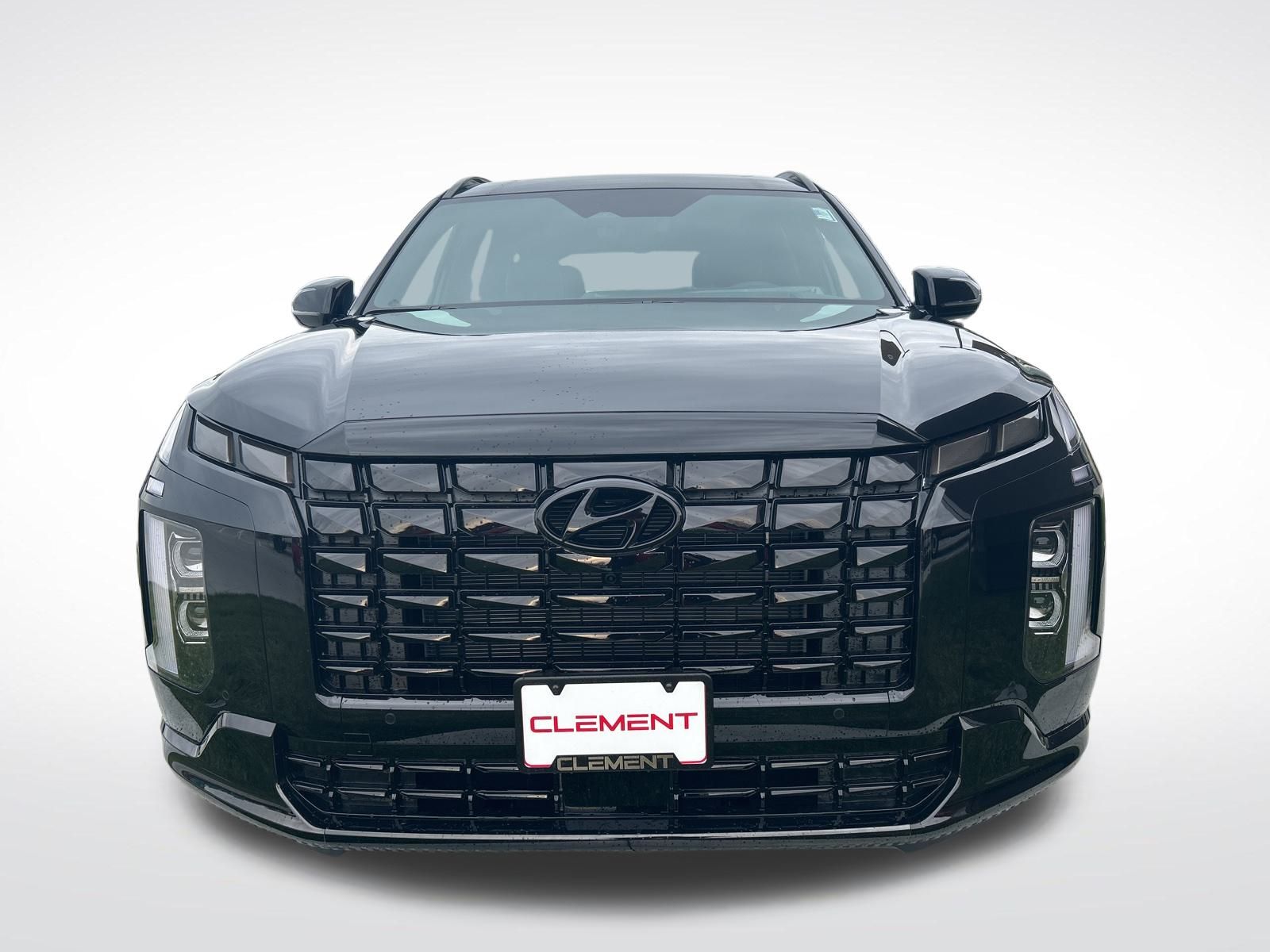 2025 Hyundai Palisade Calligraphy Night Edition 2