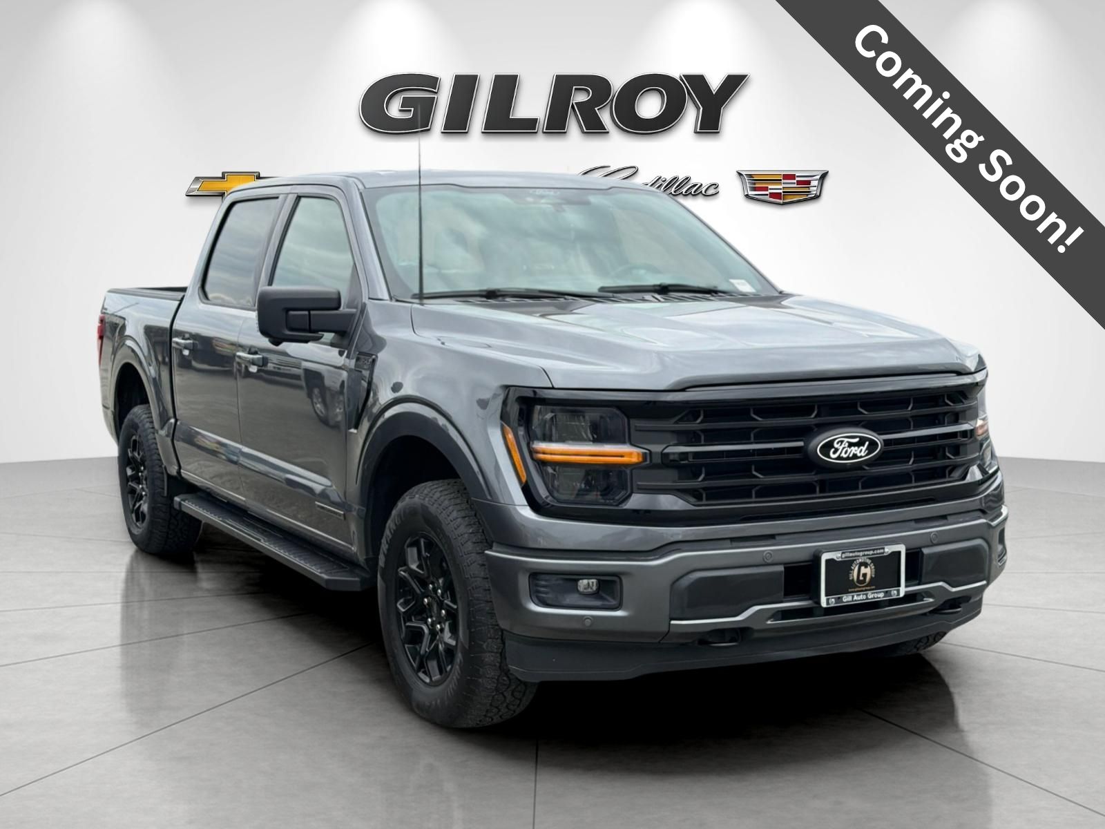 Gray Metallic 2024 Ford F-150 Pickup Truck Four-Wheel Drive Automatic