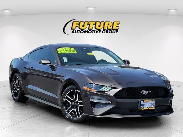 Gray Metallic 2022 Ford Mustang EcoBoost Premium Fastback RWD Coupe Rear-Wheel Drive Automatic