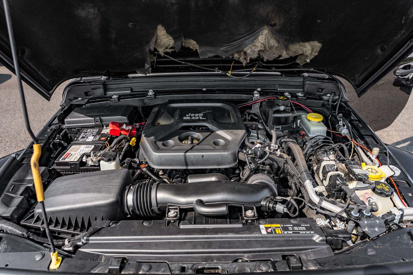 Used 2021 Jeep Wrangler SUV