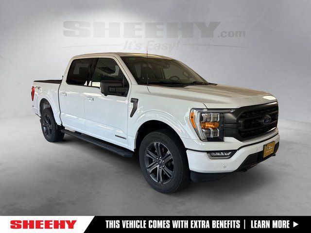 2023 Ford F-150 XLT 4x4 SuperCrew 5-1/2 Box's photo