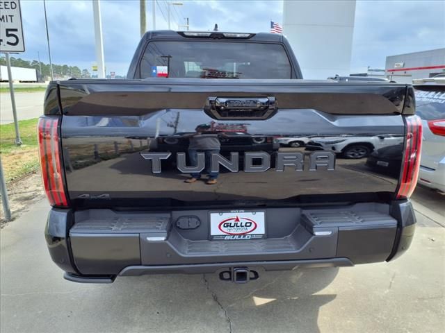 2025 Toyota Tundra Platinum - 9