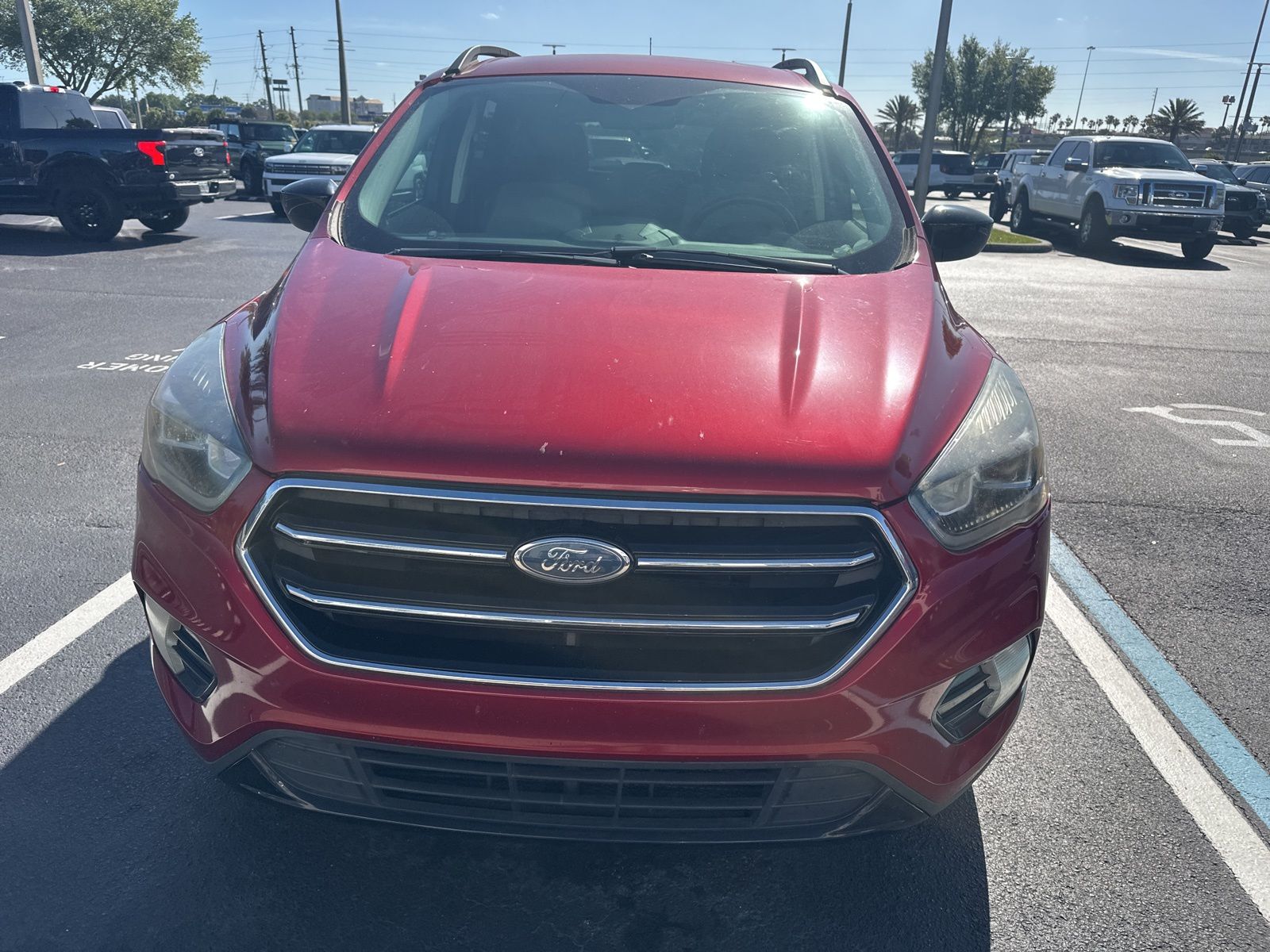 Ruby Red 2019 Ford Escape SE FWD SUV / Crossover Front-Wheel Drive 6-Speed Automatic