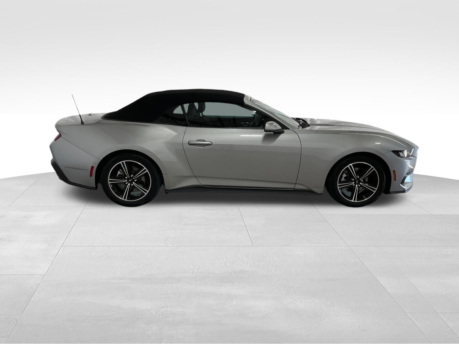 Used Car 2024 Ford Mustang  Ecoboost For Sale Under $35,000 In Austin, Texas