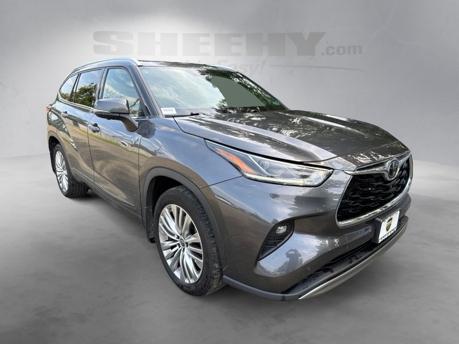 Used 2023 Magnetic Gray Metallic Toyota Platinum image 2