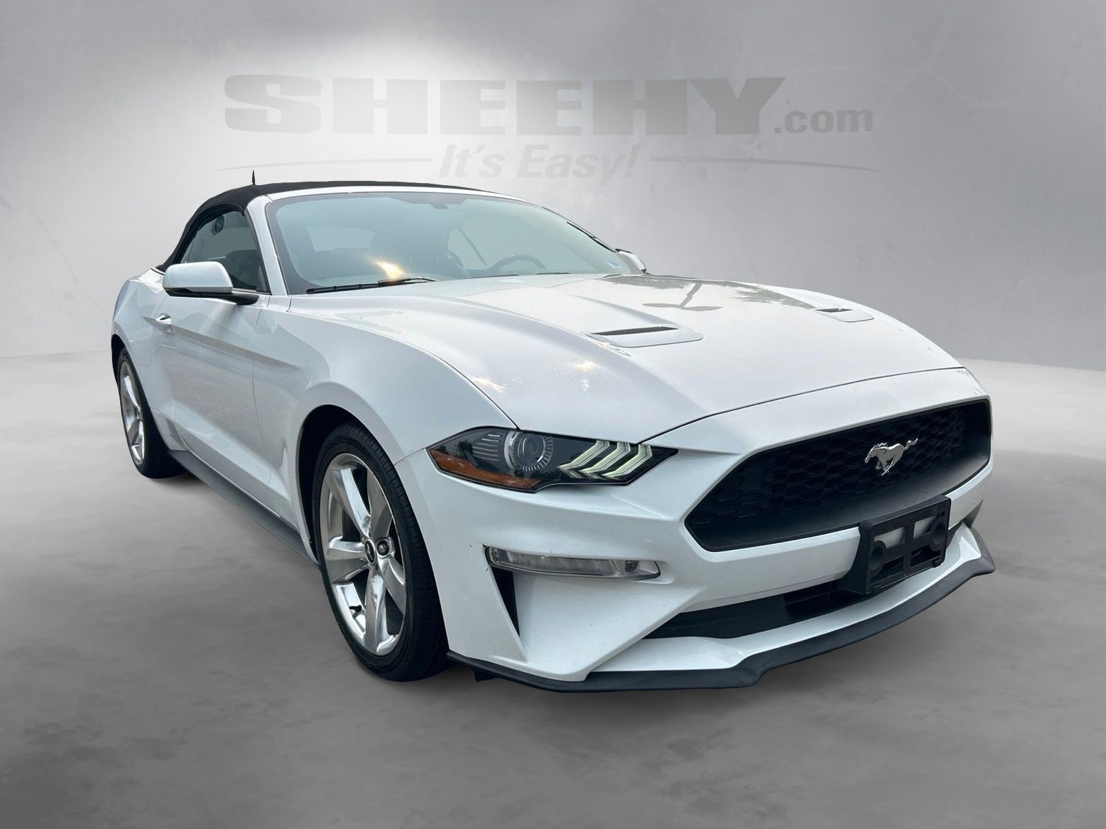 Certified Used 2019 Oxford White Ford EcoBoost Premium image 2