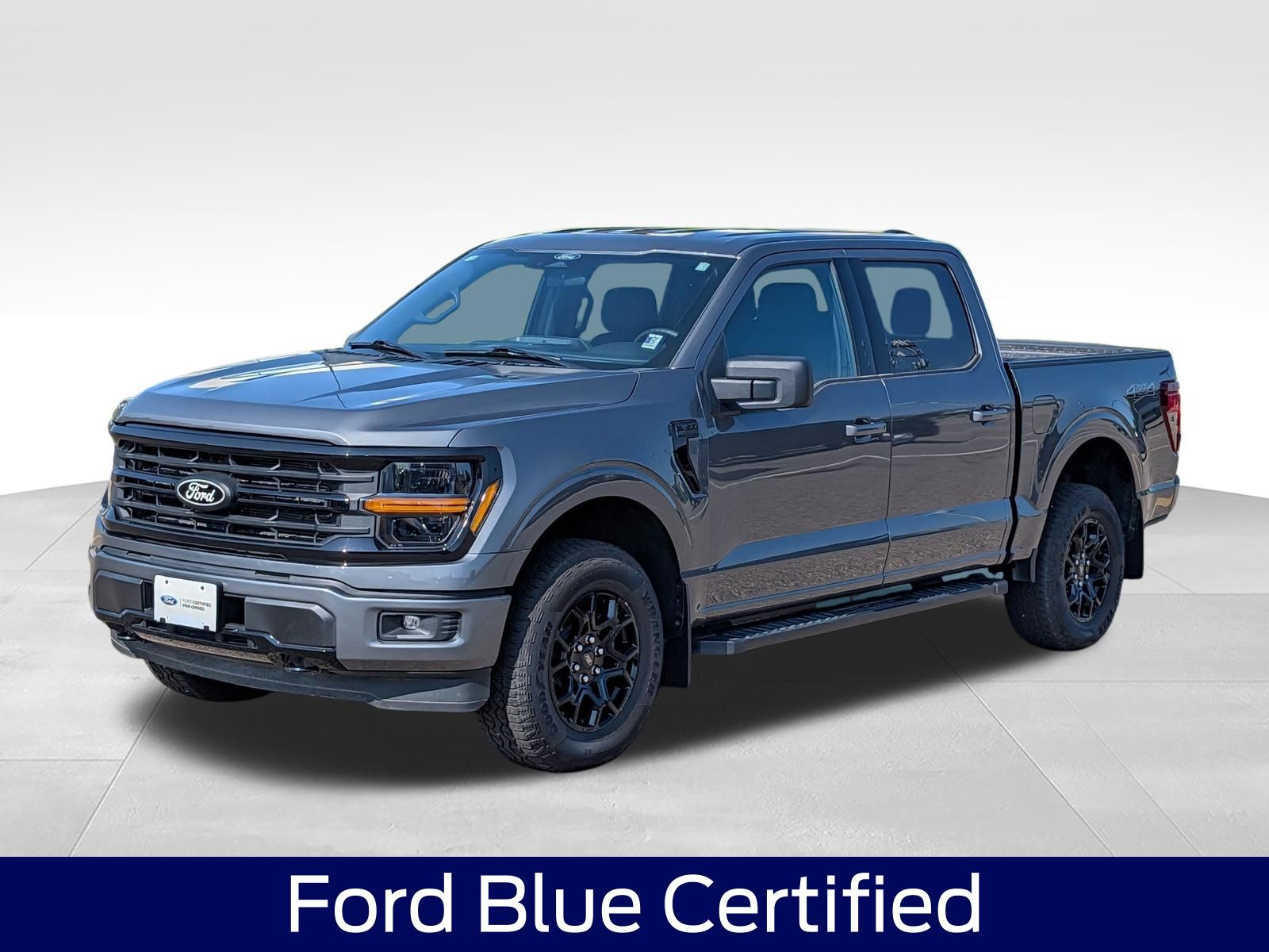 Gray 2025 Ford F-150 Pickup Truck Four-Wheel Drive Automatic