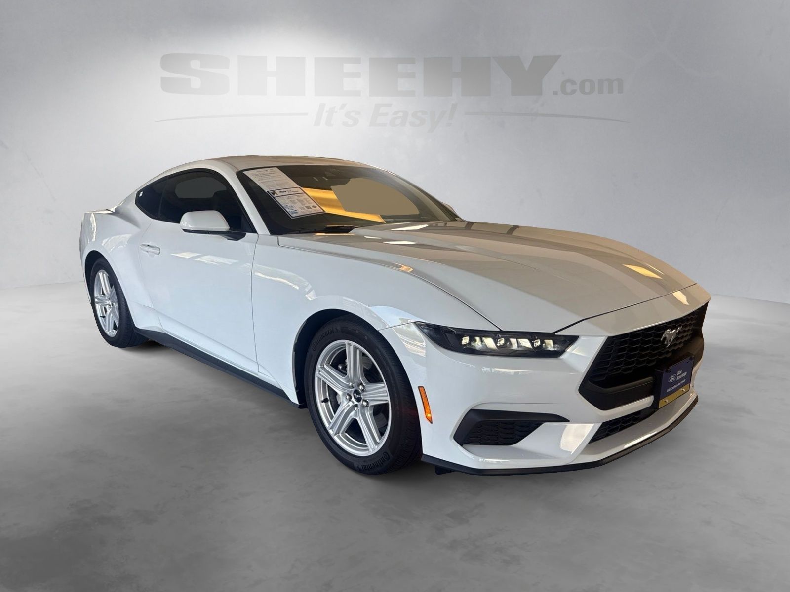 Certified Used 2026 Oxford White Ford EcoBoost image 2