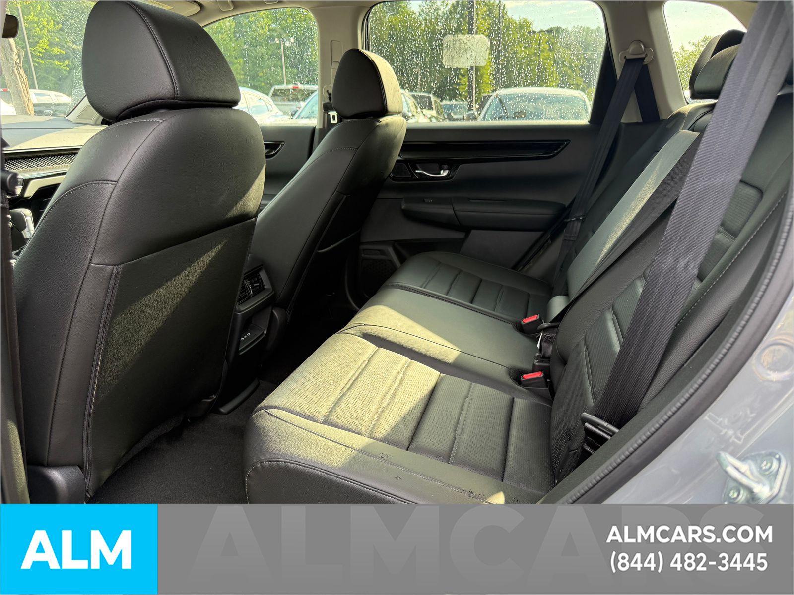 Used 2026 Gray Honda EX-L image 9