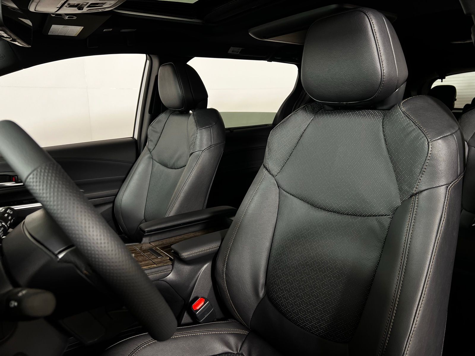2025 Toyota Sienna Platinum 10