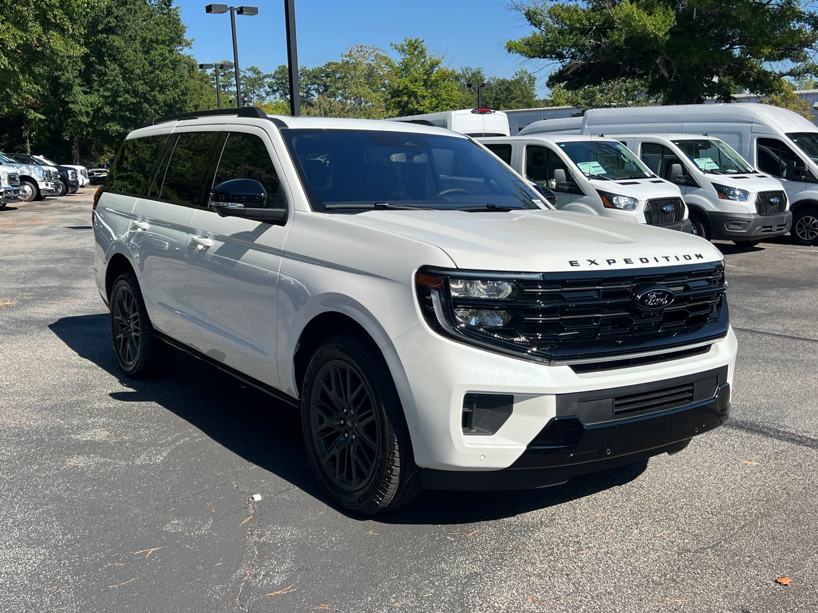 2025 Ford Expedition Platinum photo 3