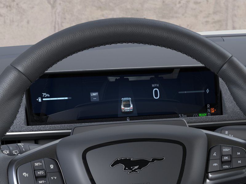 New 2026 Shadow Black Ford Premium image 13