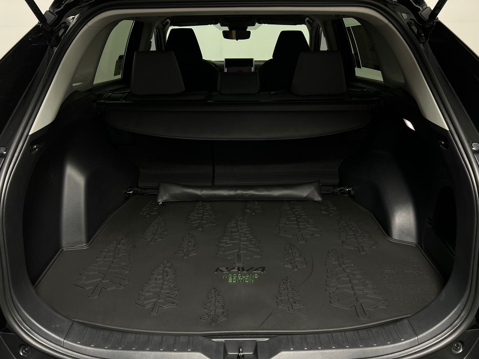 2025 Toyota RAV4 Woodland Edition 22