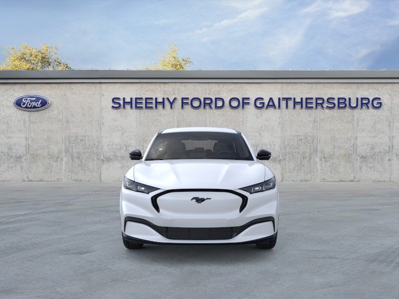 New 2025 Star White Metallic Tri-coat Ford Premium image 6