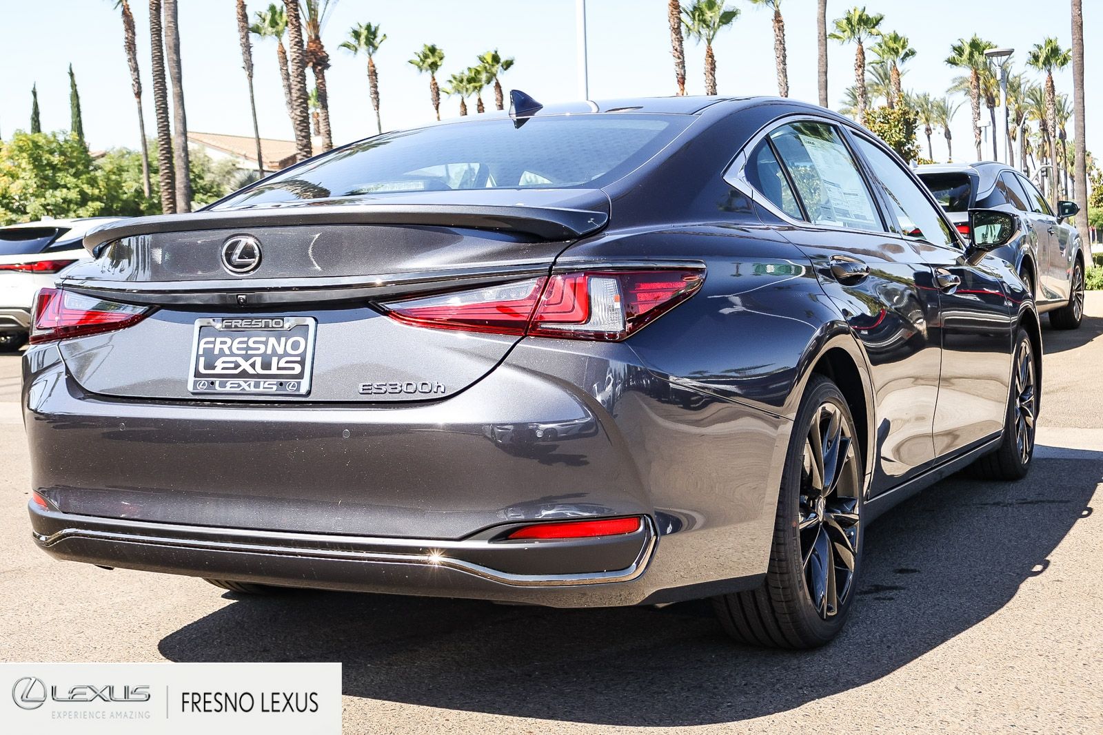 New 2025  Lexus 300h F SPORT Design image 6