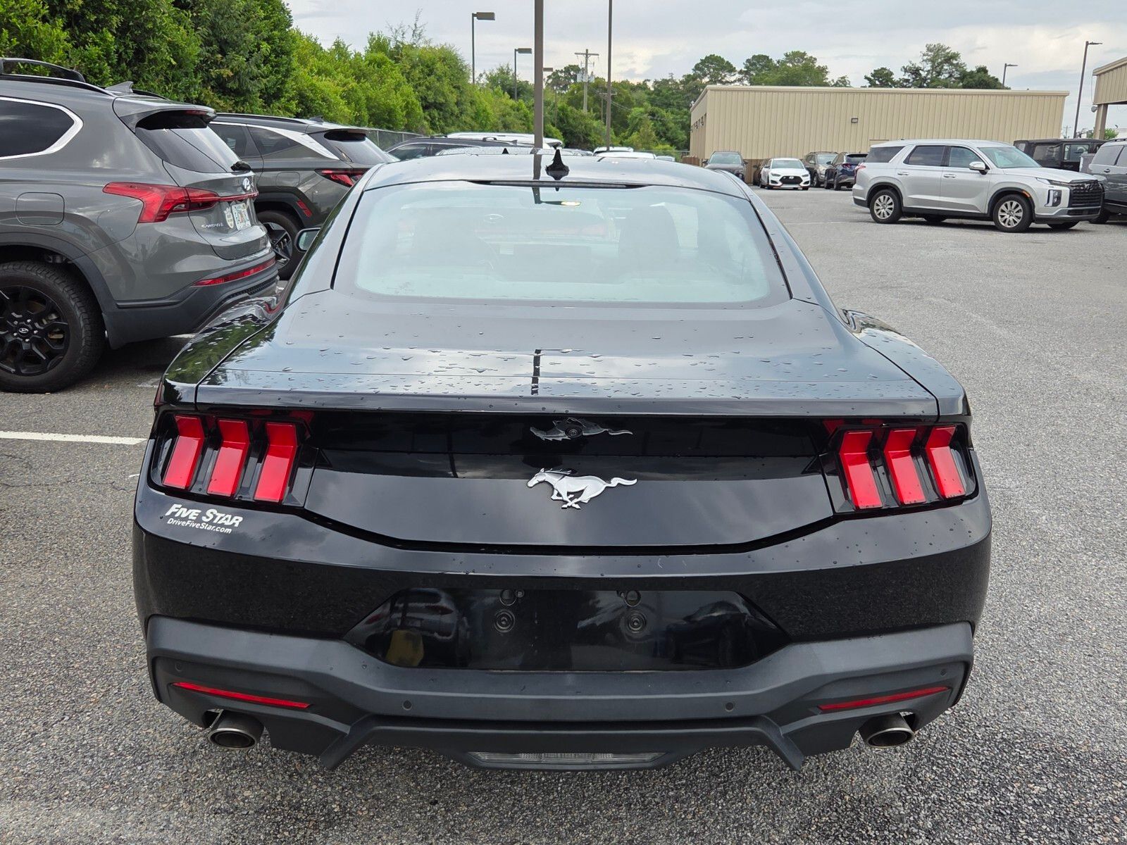Used 2024 Black Ford EcoBoost image 6