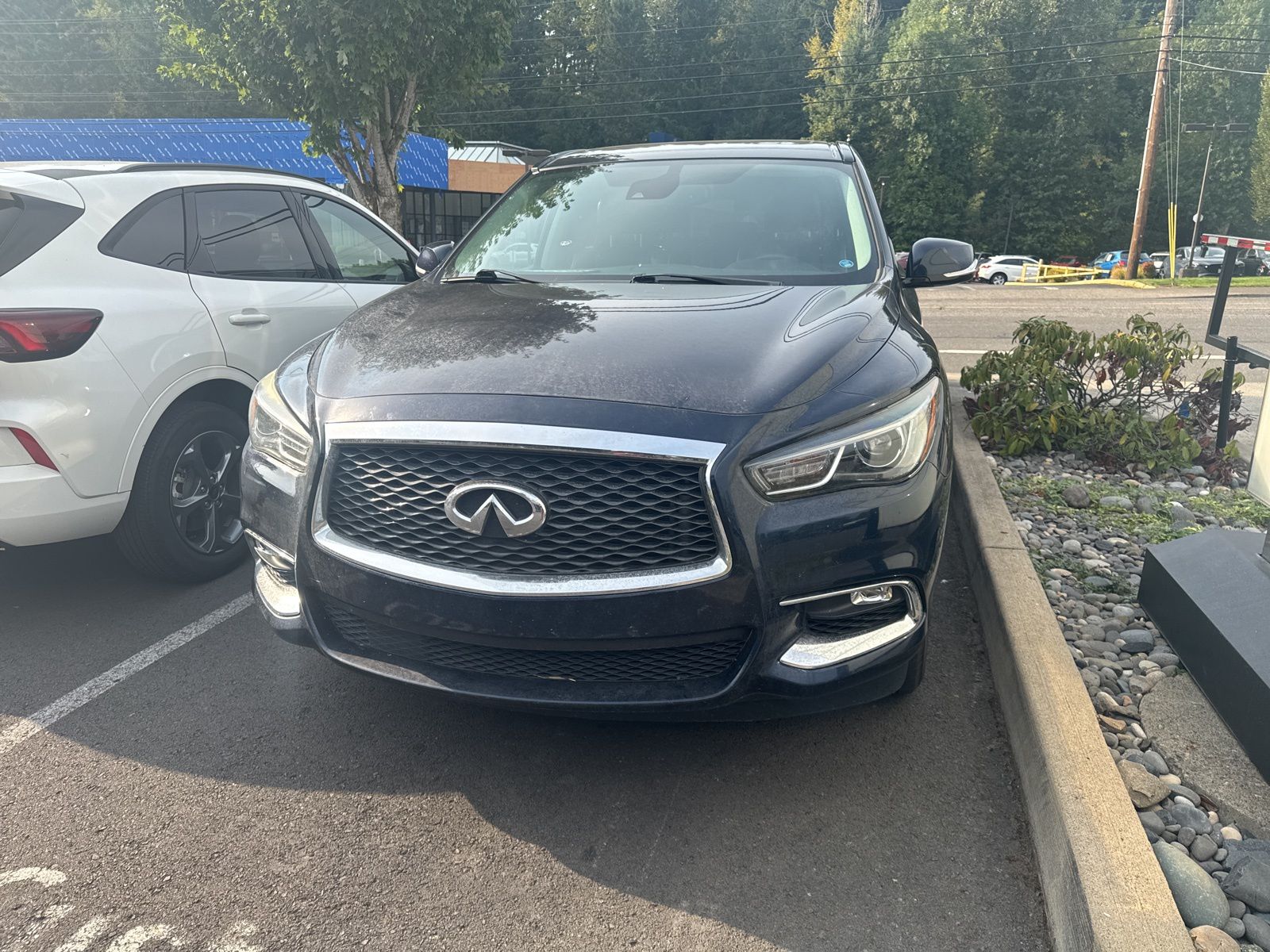 2020 INFINITI QX60 PURE