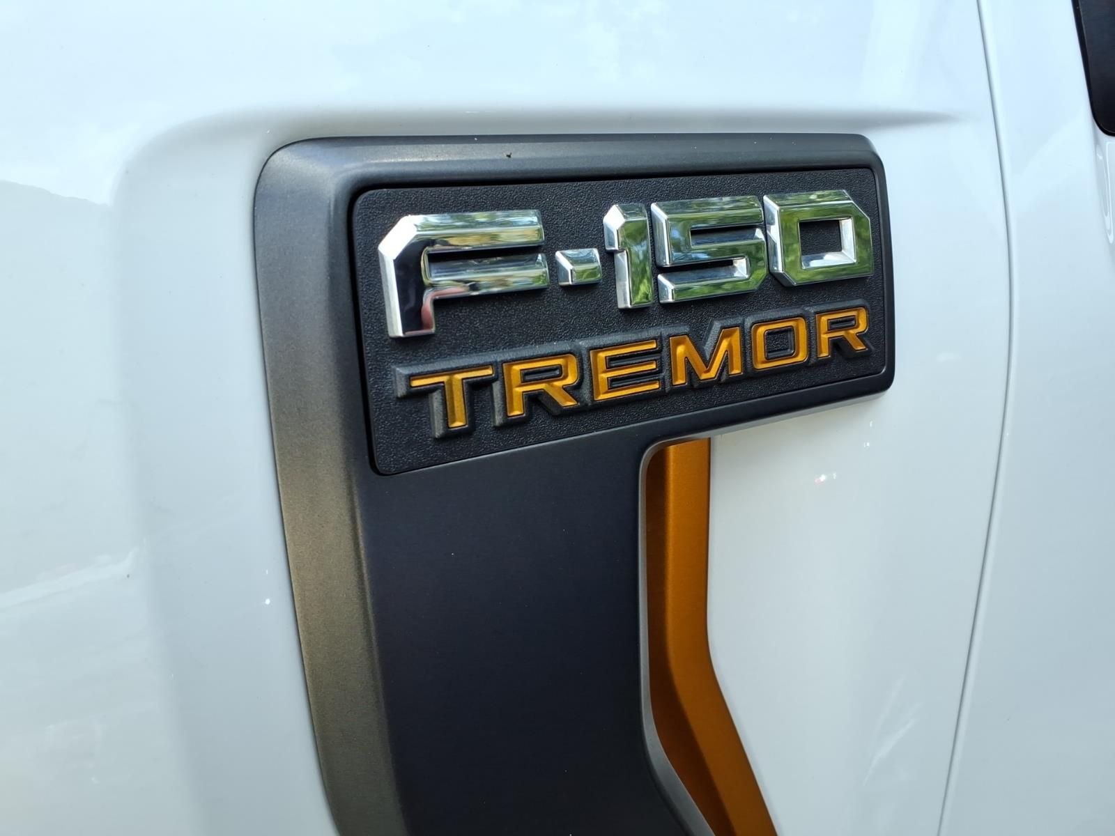 2021 Ford F-150 Tremor - 6
