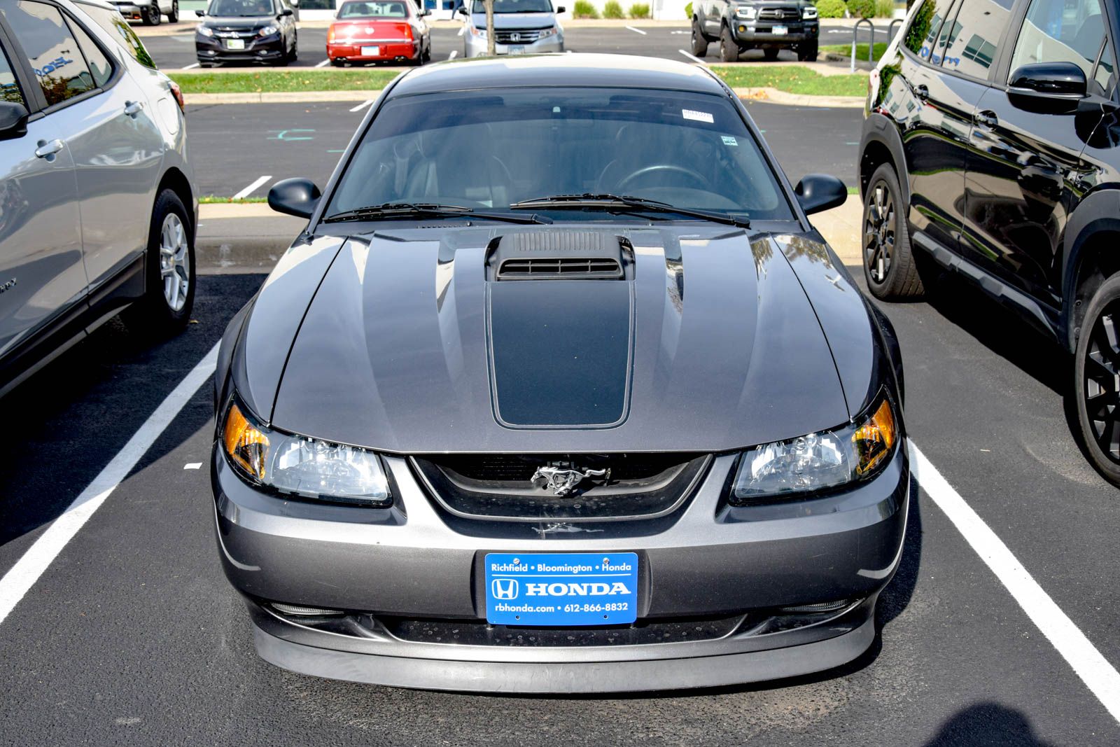 Used 2003 Ford Mustang Mach 1 with VIN 1FAFP42R83F452276 for sale in Richfield, Minnesota