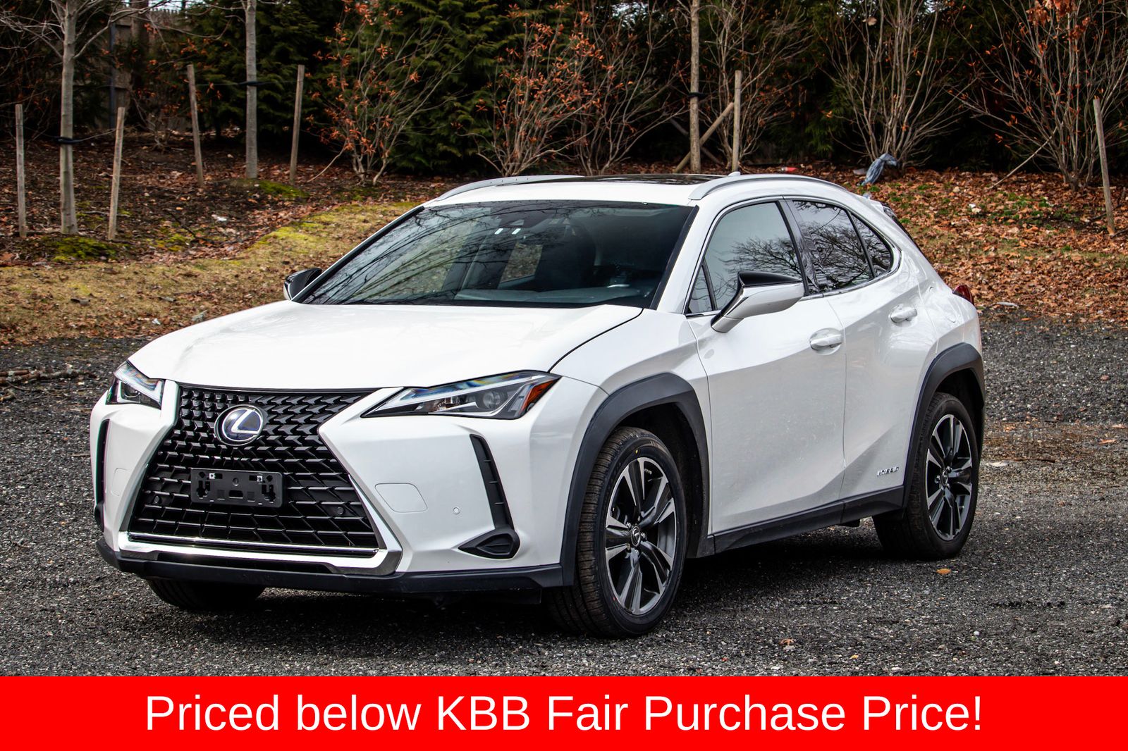 2021 Lexus UX Hybrid 250h AWD
