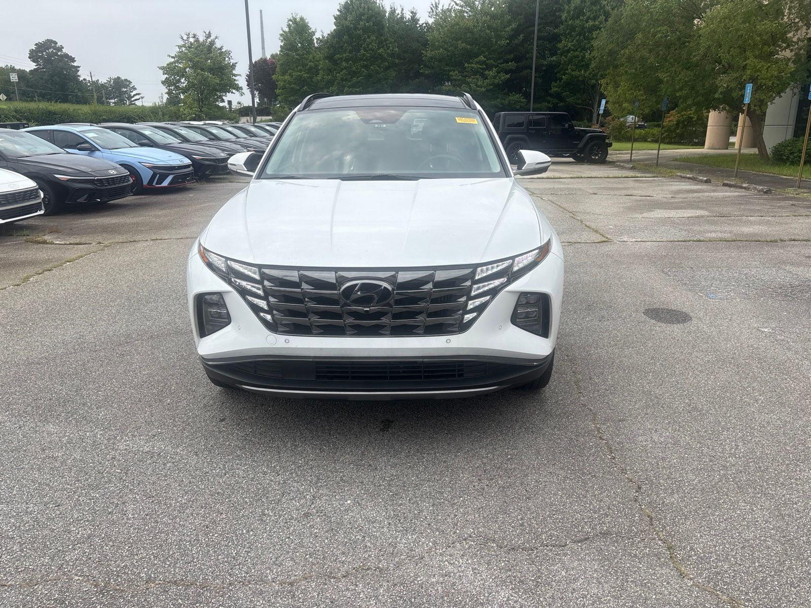 Used 2024 White Hyundai Limited image 2