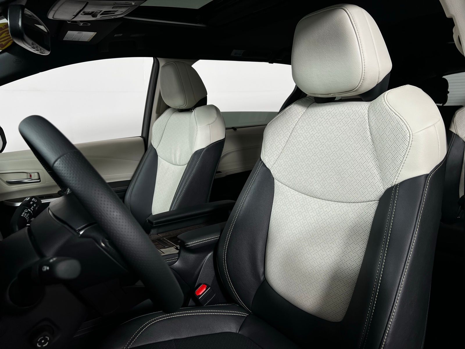 2025 Toyota Sienna Platinum 13