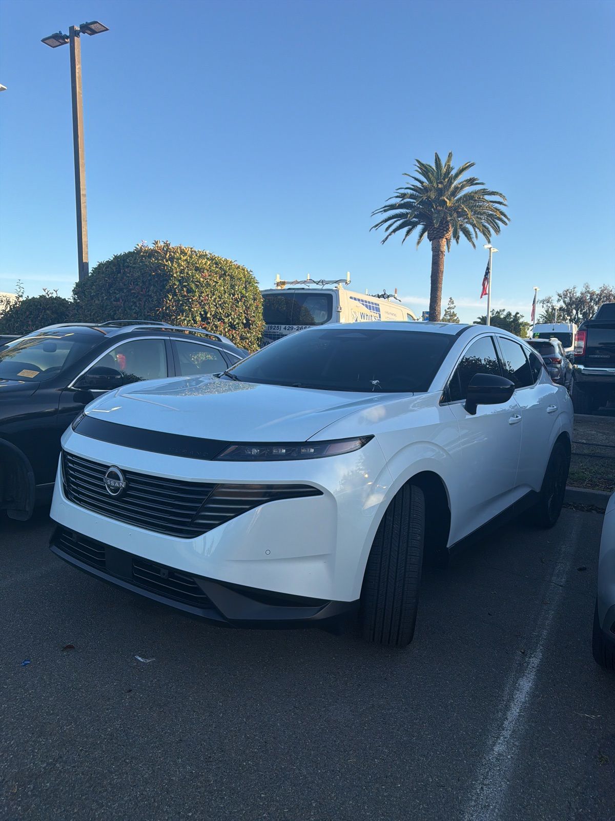2025 Nissan Murano SV AWD's photo