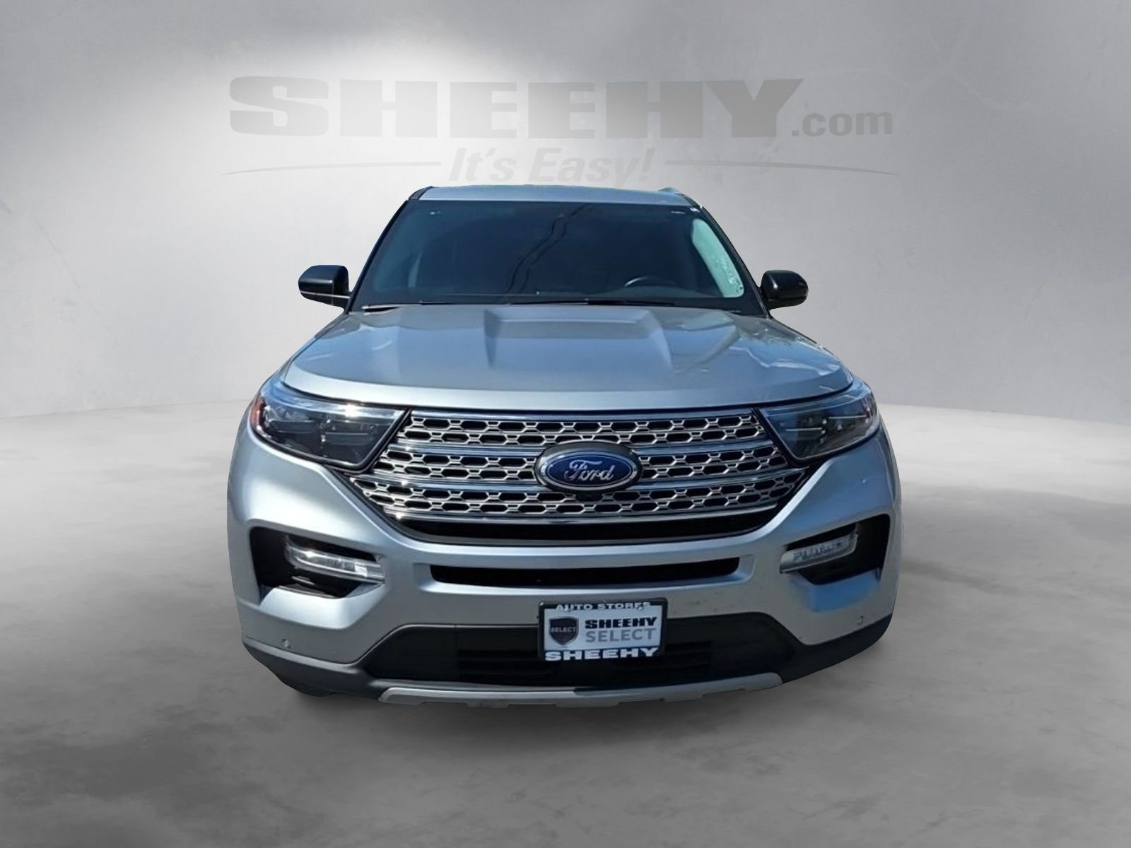 Used 2023 Silver Ford Limited image 3