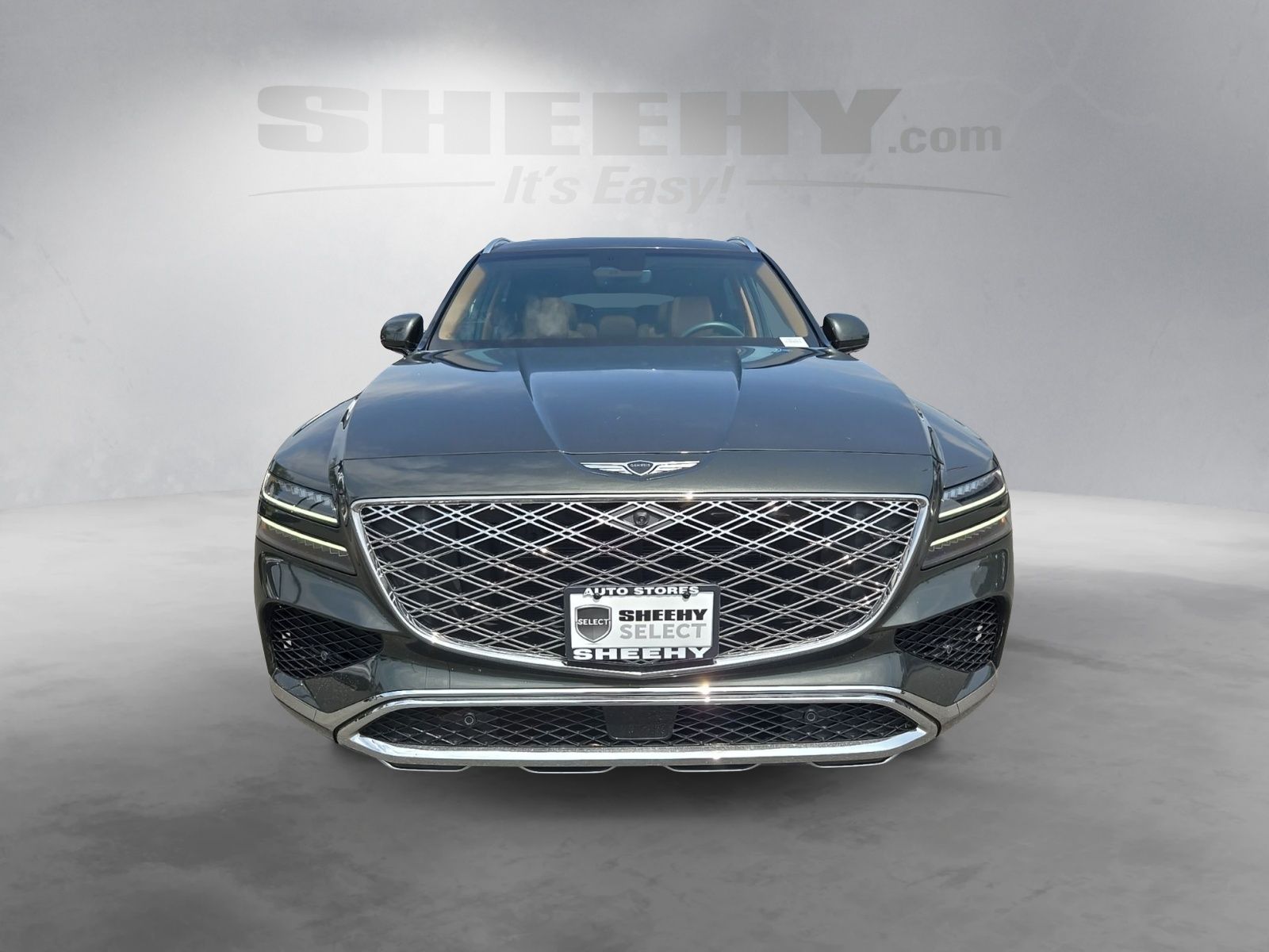 Used 2025 Green Genesis 3.5T Advanced image 19