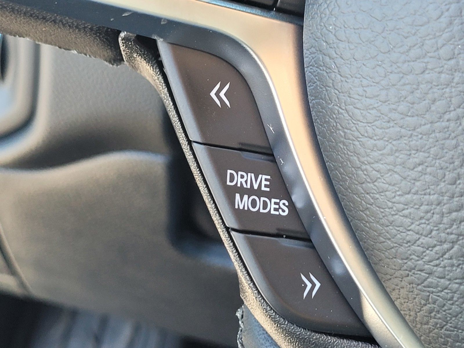 New 2026 Black Ram Big Horn/Lone Star image 24