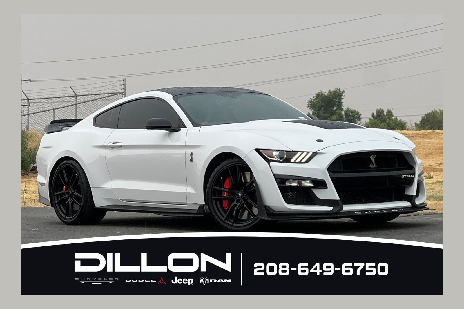 2020 Ford Mustang Shelby GT500 Fastback RWD