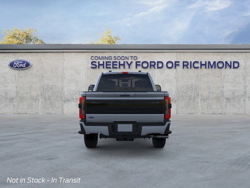 New 2026 Glacier Gray Metallic Tri-Coat Ford Platinum image 6