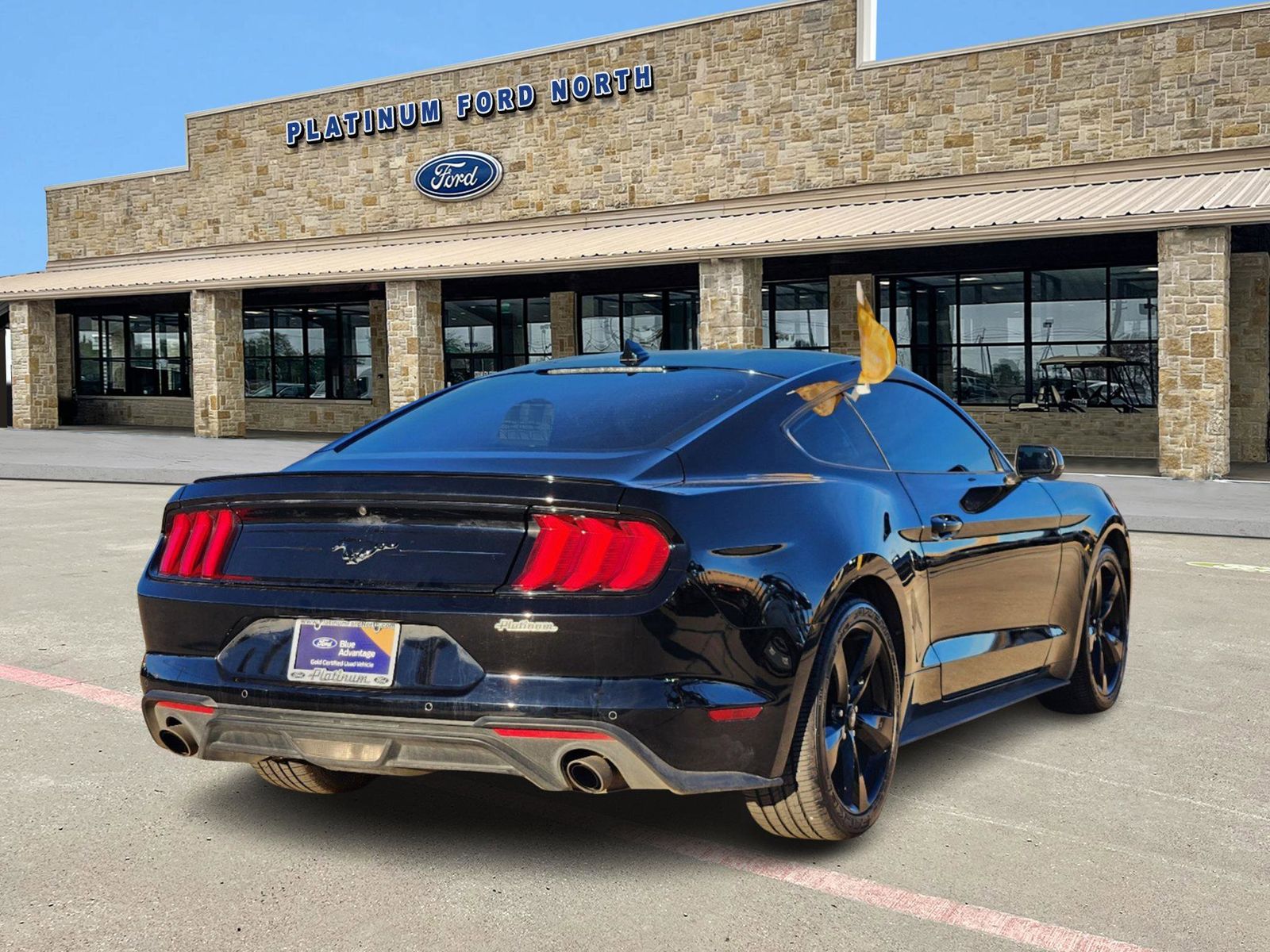 2023 Ford Mustang EcoBoost 5