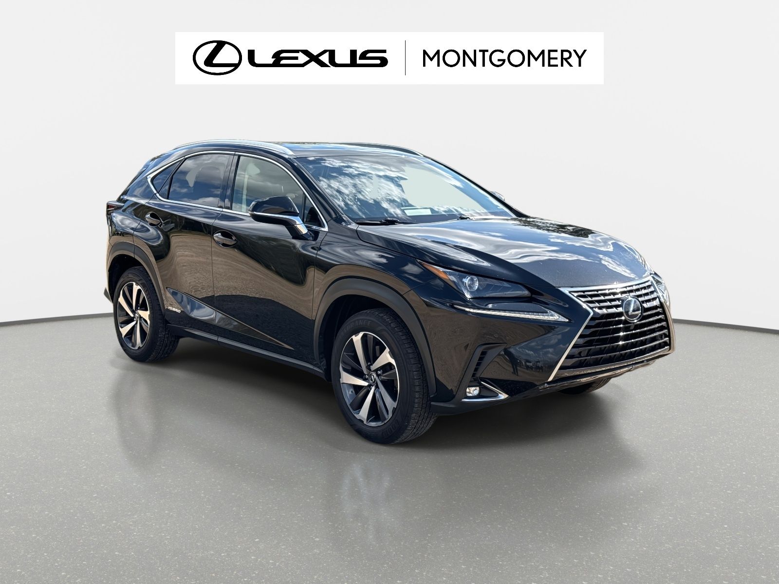 2018 Lexus NX Hybrid 300h AWD