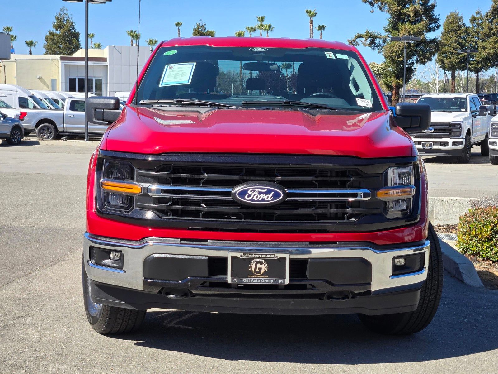 Used 2025 Red Ford XLT image 2